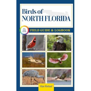 Rintoul, Alan Birds of North Florida Field Guide and Logbook: An Essential Birdwatching Guide with Identification Tips for 60 Common Bird Species in North Florida Rintoul, Alan Birds of North Florida Field Guide and Logbook: An Essential Birdwatching Guide with Identification Tips for 60 Common Bird Species in North Florida