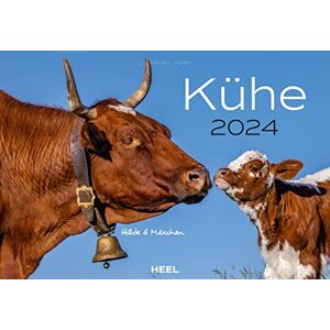 Heel Verlag GmbH Kühe Kalender 2024: Der Tierkalender mit den charmanten Namen Heel Verlag GmbH Kühe Kalender 2024: Der Tierkalender mit den charmanten Namen