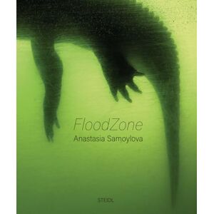 Samoylova, Anastasia Anastasia Samoylova: FloodZone Samoylova, Anastasia Anastasia Samoylova: FloodZone