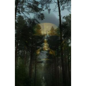 Lee The Quiet Father: An Honest Story About Anxiety, Depression, and the Quiet Strength of a Father Who Had to Grow Lee The Quiet Father: An Honest Story About Anxiety, Depression, and the Quiet Strength of a Father Who Had to Grow