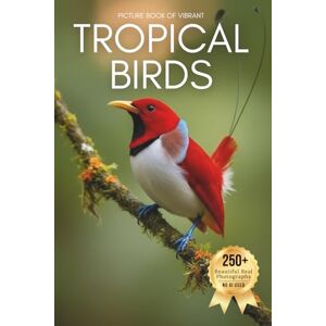 Earthley, Owen Picture Book of Vibrant Tropical Birds: A Beautiful Collection of Real Bird Photography for Seniors Living with Memory Loss, Alzheimer’s, or Dementia ... from the Tropics (Birds Coffee Table Books) Earthley, Owen Picture Book of Vibrant Tropical Birds: A Beautiful Collection of Real Bird Photography for Seniors Living with Memory Loss, Alzheimer’s, or Dementia ... from the Tropics (Birds Coffee Table Books)