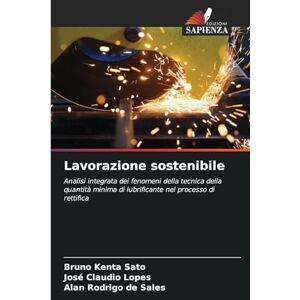 Sato, Bruno Kenta Lavorazione sostenibile: Analisi integrata dei fenomeni della tecnica della quantità minima di lubrificante nel processo di rettifica Sato, Bruno Kenta Lavorazione sostenibile: Analisi integrata dei fenomeni della tecnica della quantità minima di lubrificante nel processo di rettifica