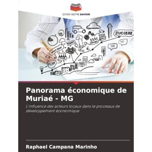Campana Marinho, Raphael Panorama économique de Muriaé MG: L'influence des acteurs locaux dans le processus de développement économique Campana Marinho, Raphael Panorama économique de Muriaé MG: L'influence des acteurs locaux dans le processus de développement économique