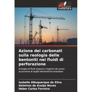 Silva Azione dei carbonati sulla reologia delle bentoniti nei fluidi di perforazione: Sviluppo di fluidi acquosi e organici da nuove occorrenze di argille bentonitiche brasiliane Silva Azione dei carbonati sulla reologia delle bentoniti nei fluidi di perforazione: Sviluppo di fluidi acquosi e organici da nuove occorrenze di argille bentonitiche brasiliane