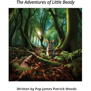 Woods, James P The Adventures of Little Beady Woods, James P The Adventures of Little Beady