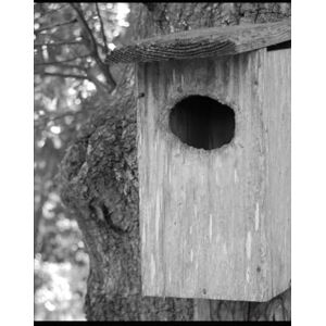 Sweeney I, Mr. William W. William (Bill) Tyler's Tale of Change...A Griot Narrative: How William (Bill) Tyler...Got Over Sweeney I, Mr. William W. William (Bill) Tyler's Tale of Change...A Griot Narrative: How William (Bill) Tyler...Got Over