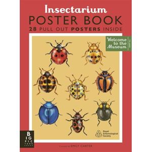 Goulson, Dave Insectarium Poster Book (Welcome To The Museum) Goulson, Dave Insectarium Poster Book (Welcome To The Museum)