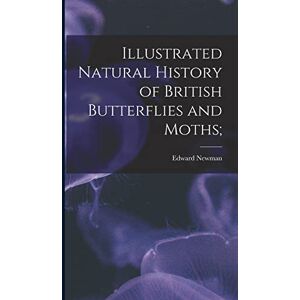 Newman, Edward Illustrated Natural History of British Butterflies and Moths; Newman, Edward Illustrated Natural History of British Butterflies and Moths;
