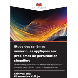 Erla, Srinivas Étude des schémas numériques appliqués aux problèmes de perturbation singulière: Étude numérique des équations différentielles à perturbation singulière présentant des couches limites et intérieures Erla, Srinivas Étude des schémas numériques appliqués aux problèmes de perturbation singulière: Étude numérique des équations différentielles à perturbation singulière présentant des couches limites et intérieures