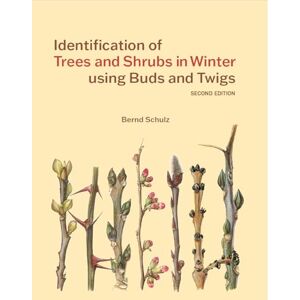 Schulz, Bernd Identification of Trees and Shrubs in Winter using Buds and Twigs Schulz, Bernd Identification of Trees and Shrubs in Winter using Buds and Twigs