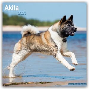 AVONSIDE Akita 2025 Square Wall Calendar Dog Breed Calendar AVONSIDE Akita 2025 Square Wall Calendar Dog Breed Calendar