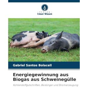 Santos Bolacell, Gabriel Energiegewinnung aus Biogas aus Schweinegülle: Kohlenstoffgutschriften, Biodünger und Stromerzeugung Santos Bolacell, Gabriel Energiegewinnung aus Biogas aus Schweinegülle: Kohlenstoffgutschriften, Biodünger und Stromerzeugung