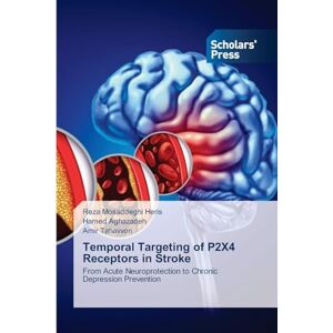 Mosaddeghi Heris, Reza Temporal Targeting of P2X4 Receptors in Stroke: From Acute Neuroprotection to Chronic Depression Prevention Mosaddeghi Heris, Reza Temporal Targeting of P2X4 Receptors in Stroke: From Acute Neuroprotection to Chronic Depression Prevention