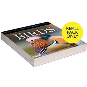 Workman Publishing Audubon Birds Page-A-Day Gallery Calendar Refill Pack 2024 Workman Publishing Audubon Birds Page-A-Day Gallery Calendar Refill Pack 2024