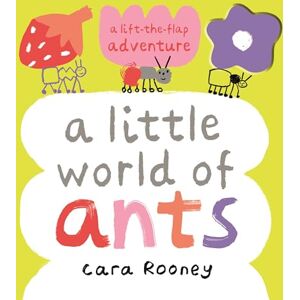Rooney, Cara A Little World of Ants: A Lift-the-Flap Adventure Rooney, Cara A Little World of Ants: A Lift-the-Flap Adventure