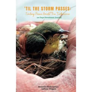 Shakespeare, Shanniel 'Til the Storm Passes: Finding Peace Amidst the Turbulence Shakespeare, Shanniel 'Til the Storm Passes: Finding Peace Amidst the Turbulence