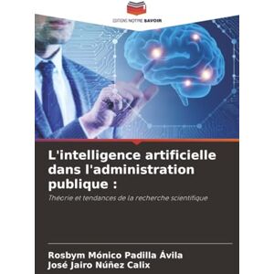 Padilla Ávila, Rosbym Mónico L'intelligence artificielle dans l'administration publique :: Théorie et tendances de la recherche scientifique Padilla Ávila, Rosbym Mónico L'intelligence artificielle dans l'administration publique :: Théorie et tendances de la recherche scientifique