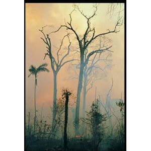 PICHON, Christophe La trilogie Laverte et Moutarde: qui est aussi la trilogie Moutarde et Laverte (Les aventures de Moutarde et Laverte) PICHON, Christophe La trilogie Laverte et Moutarde: qui est aussi la trilogie Moutarde et Laverte (Les aventures de Moutarde et Laverte)