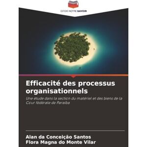 Santos, Alan da Conceição Efficacité des processus organisationnels: Une étude dans la section du matériel et des biens de la Cour fédérale de Paraíba Santos, Alan da Conceição Efficacité des processus organisationnels: Une étude dans la section du matériel et des biens de la Cour fédérale de Paraíba