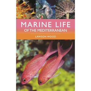 Lawson Wood Marine Life of the Mediterranean Lawson Wood Marine Life of the Mediterranean