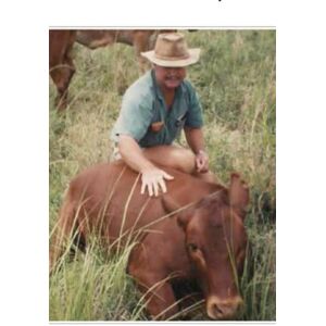 Zietsman, Johann Hombre, Ganado y Pastizal Zietsman, Johann Hombre, Ganado y Pastizal