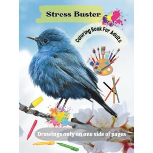 Seth, Annil Adult Coloring Book: Stress Buster Seth, Annil Adult Coloring Book: Stress Buster