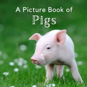 A Bee's Life Press A Picture Book of Pigs: A Beautiful No Text Picture Book for Seniors With Alzheimer’s or Dementia. A Great Gift for an Elderly Parent or Grandparent. (Picture Books For Seniors) A Bee's Life Press A Picture Book of Pigs: A Beautiful No Text Picture Book for Seniors With Alzheimer’s or Dementia. A Great Gift for an Elderly Parent or Grandparent. (Picture Books For Seniors)