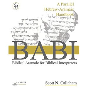 Scott Biblical Aramaic for Biblical Interpreters: A Parallel Hebrew-Aramaic Handbook: 8 (HEBREW & ARAMAIC ACCESSIBLE RESOURCES FOR EXEGETICAL AND THEOLOGICAL STUDIES) Scott Biblical Aramaic for Biblical Interpreters: A Parallel Hebrew-Aramaic Handbook: 8 (HEBREW & ARAMAIC ACCESSIBLE RESOURCES FOR EXEGETICAL AND THEOLOGICAL STUDIES)