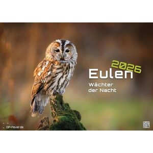 Eulen Wächter der Nacht 2026 Kalender DIN A2: Der Wandkalender mit den schönsten Eulen-Motiven für das Jahr 2026 im extragroßen Format DIN A2 (ca. 60 x 42 cm)! Eulen Wächter der Nacht 2026 Kalender DIN A2: Der Wandkalender mit den schönsten Eulen-Motiven für das Jahr 2026 im extragroßen Format DIN A2 (ca. 60 x 42 cm)!