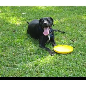 sha premium-large-550pages-book2 sha premium-large-550pages-book2