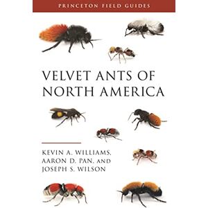 Williams, Dr. Kevin Velvet Ants of North America: 145 (Princeton Field Guides) Williams, Dr. Kevin Velvet Ants of North America: 145 (Princeton Field Guides)