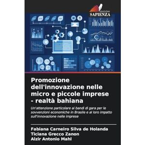 Silva Promozione dell'innovazione nelle micro e piccole imprese realtà bahiana: Un'attenzione particolare ai bandi di gara per le sovvenzioni economiche ... loro impatto sull'innovazione nelle imprese Silva Promozione dell'innovazione nelle micro e piccole imprese realtà bahiana: Un'attenzione particolare ai bandi di gara per le sovvenzioni economiche ... loro impatto sull'innovazione nelle imprese