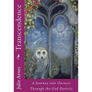 Arnes, Julie Lynne Transcendence: A Journey into Oneness through the God Particle: Volume One: Volume 1 Arnes, Julie Lynne Transcendence: A Journey into Oneness through the God Particle: Volume One: Volume 1