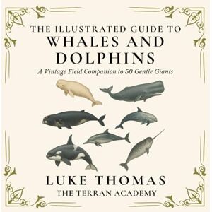 Thomas, Luke The Illustrated Guide to Whales and Dolphins: A Vintage Field Companion to 50 Gentle Giants (The Illustrated Field Companion Series) Thomas, Luke The Illustrated Guide to Whales and Dolphins: A Vintage Field Companion to 50 Gentle Giants (The Illustrated Field Companion Series)