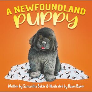 Baker, Samantha A Newfoundland Puppy Baker, Samantha A Newfoundland Puppy