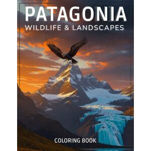 PH Editorial PATAGONIA WILDLIFE & LANDSCAPES COLORING BOOK: 60 Hand-Drawn Illustrations of Southern Right Whales, Guanacos, Condors & Glaciers Stress Relief for Adults & Nature Lovers PH Editorial PATAGONIA WILDLIFE & LANDSCAPES COLORING BOOK: 60 Hand-Drawn Illustrations of Southern Right Whales, Guanacos, Condors & Glaciers Stress Relief for Adults & Nature Lovers