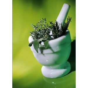 Wright, John The Tea Tonic A journey Through Herbal Infusions & Beyond Wright, John The Tea Tonic A journey Through Herbal Infusions & Beyond