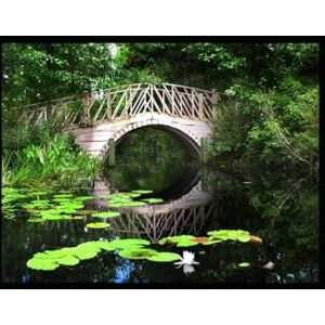 Black, Birchkin Bridge Seven Black, Birchkin Bridge Seven