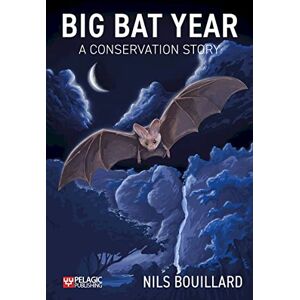 Bouillard, Nils Big Bat Year: A Conservation Story Bouillard, Nils Big Bat Year: A Conservation Story