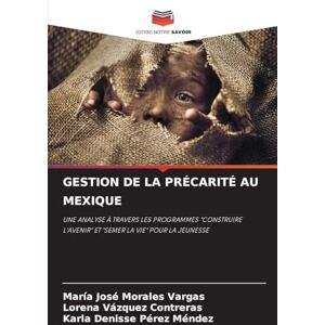 Morales Vargas, María José Gestion de la Précarité Au Mexique: UNE ANALYSE À TRAVERS LES PROGRAMMES "CONSTRUIRE L'AVENIR" ET "SEMER LA VIE" POUR LA JEUNESSE Morales Vargas, María José Gestion de la Précarité Au Mexique: UNE ANALYSE À TRAVERS LES PROGRAMMES "CONSTRUIRE L'AVENIR" ET "SEMER LA VIE" POUR LA JEUNESSE