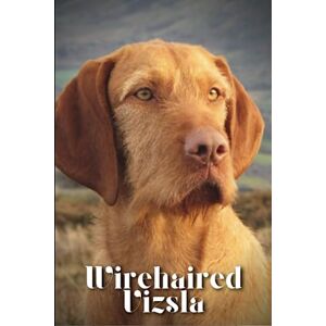 Pustova, Nina Wirehaired Vizsla: Dog breed overview and guide Pustova, Nina Wirehaired Vizsla: Dog breed overview and guide