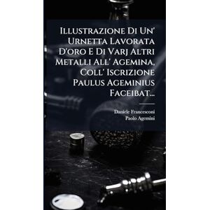 Francesconi, Daniele Illustrazione Di Un' Urnetta Lavorata D'oro E Di Varj Altri Metalli All' Agemina, Coll' Iscrizione Paulus Ageminius Faceibat... Francesconi, Daniele Illustrazione Di Un' Urnetta Lavorata D'oro E Di Varj Altri Metalli All' Agemina, Coll' Iscrizione Paulus Ageminius Faceibat...