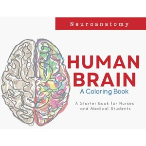 Group, Inc, Medical Authors Human Brain Neuroanatomy Coloring Book Group, Inc, Medical Authors Human Brain Neuroanatomy Coloring Book
