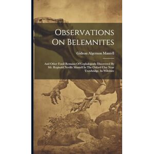 Mantell, Gideon Algernon Observations On Belemnites: And Other Fossil Remains Of Cephalopoda Discovered By Mr. Reginald Neville Mantell In The Oxford Clay Near Trowbridge, In Wiltshire Mantell, Gideon Algernon Observations On Belemnites: And Other Fossil Remains Of Cephalopoda Discovered By Mr. Reginald Neville Mantell In The Oxford Clay Near Trowbridge, In Wiltshire