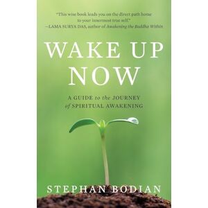 Bodian, Stephan Wake Up Now: A Guide to the Journey of Spiritual Awakening (NTC SELF-HELP) Bodian, Stephan Wake Up Now: A Guide to the Journey of Spiritual Awakening (NTC SELF-HELP)