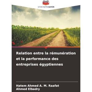 Ahmed Relation entre la rémunération et la performance des entreprises égyptiennes Ahmed Relation entre la rémunération et la performance des entreprises égyptiennes