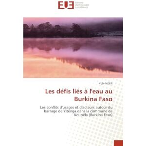 Noba, Yobi Les défis liés à l'eau au Burkina Faso: Les conflits d'usages et d'acteurs autour du barrage de Yitenga dans la commune de Koupéla (Burkina Faso) Noba, Yobi Les défis liés à l'eau au Burkina Faso: Les conflits d'usages et d'acteurs autour du barrage de Yitenga dans la commune de Koupéla (Burkina Faso)