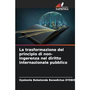 Oyebissi, Oyekonle Babatonde Benedictus La trasformazione del principio di non-ingerenza nel diritto internazionale pubblico Oyebissi, Oyekonle Babatonde Benedictus La trasformazione del principio di non-ingerenza nel diritto internazionale pubblico