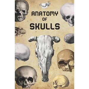 Aladdin Anatomy of Skulls, Skeletons & Bones: Vintage Book of Human and Animal Anatomy for Artists , An Illustrated Art Guide for Designers To Learn How to Draw Figures, Body and Head Aladdin Anatomy of Skulls, Skeletons & Bones: Vintage Book of Human and Animal Anatomy for Artists , An Illustrated Art Guide for Designers To Learn How to Draw Figures, Body and Head