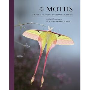 Sourakov The Lives of Moths: A Natural History of Our Planet's Moth Life: 1 (The Lives of the Natural World) Sourakov The Lives of Moths: A Natural History of Our Planet's Moth Life: 1 (The Lives of the Natural World)